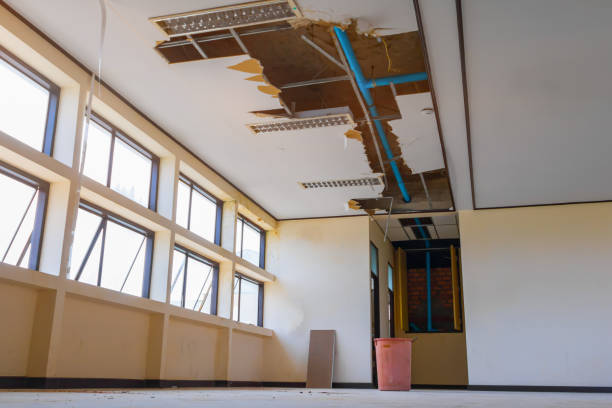 Best Flood restoration services  in Glendale, AZ