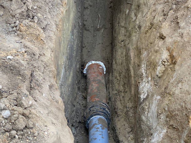 Best Sewage cleanup and water damage restoration  in Glendale, AZ