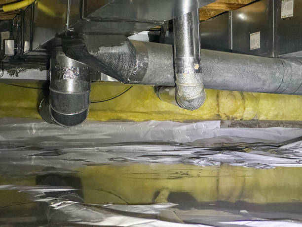 Best Emergency water damage restoration  in Glendale, AZ